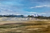 Early Spring in the Sand Dunes